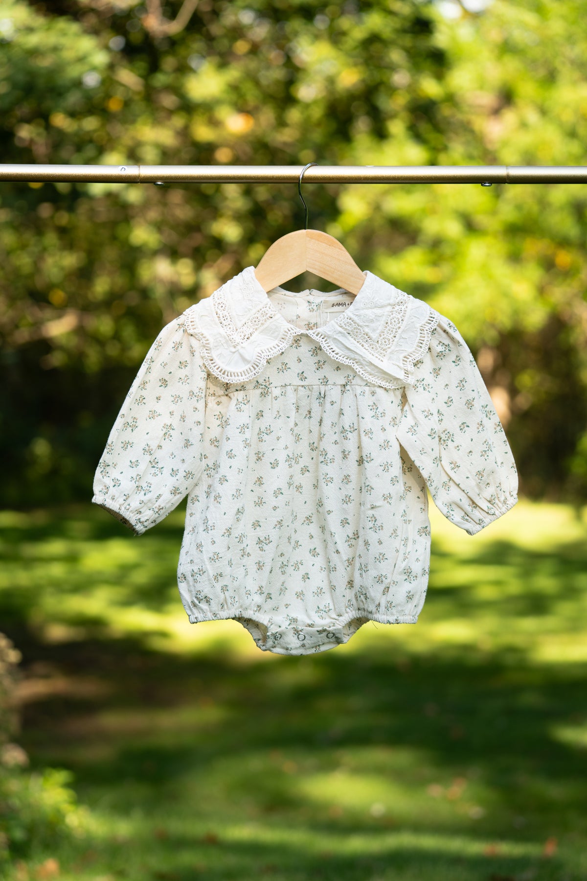 Louisa Lace Collar Bubble