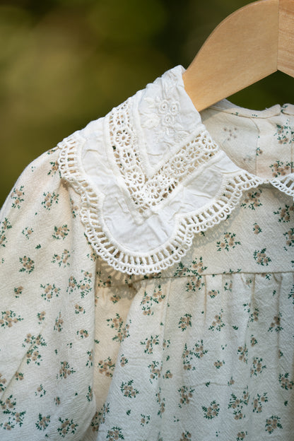 Louisa Lace Collar Bubble